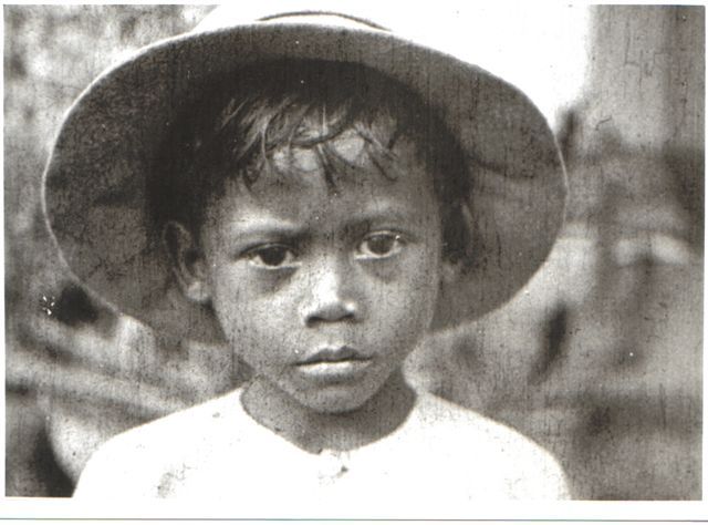 Mother Dao- Proyección