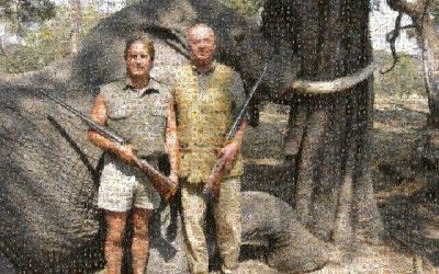 Prólogo «Cuando despertó, el elefante todavía estaba ahí. La imagen del rey en la Cultura Visual 2.0»