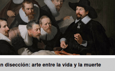 Curso: Cuerpos en disección: arte entre la vida y la muerte