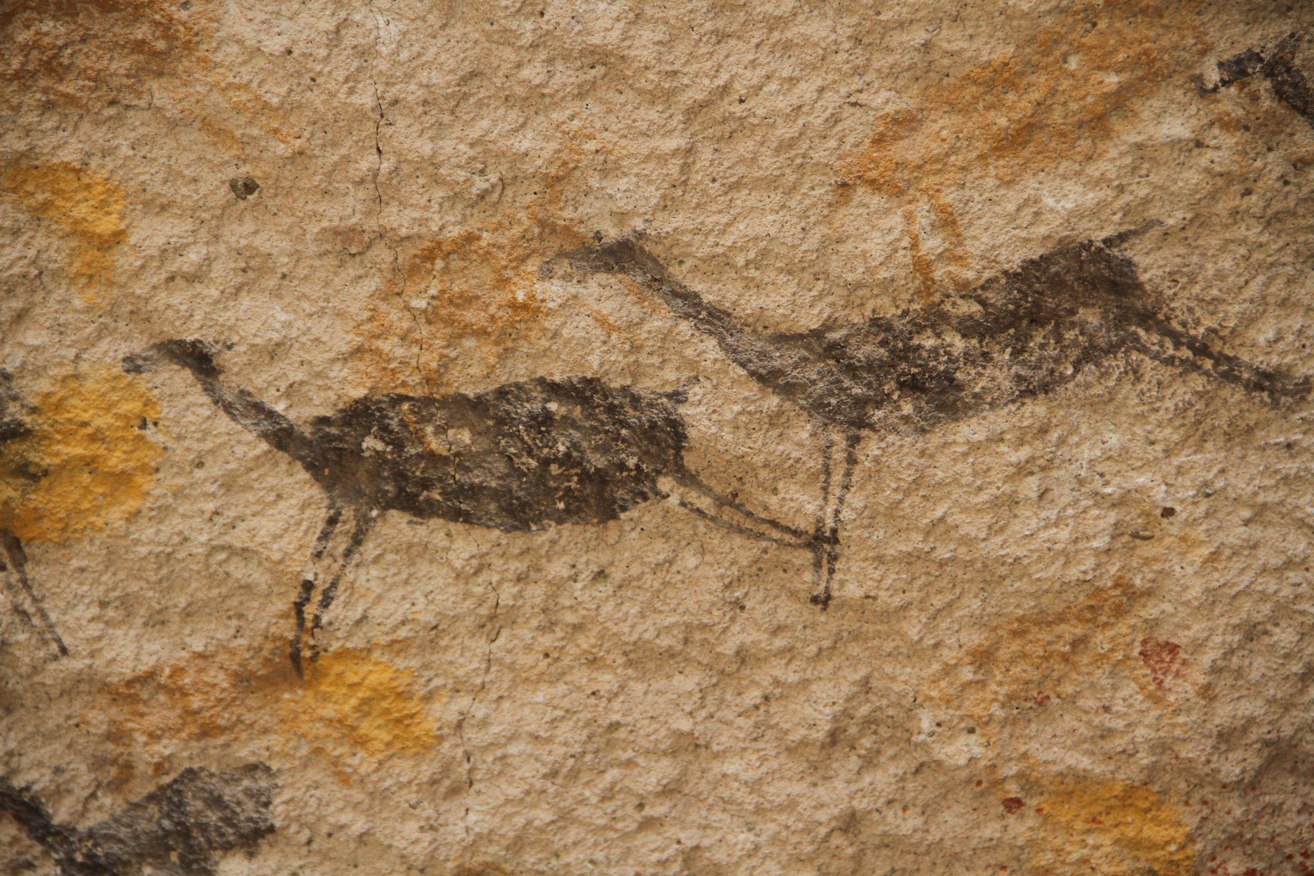 Imágenes técnicas y arqueología: El problema del arte rupestre y la visualización de la prehistoria.